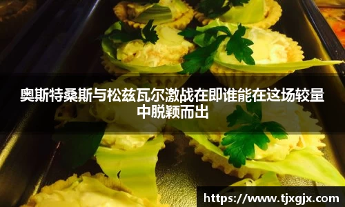 奥斯特桑斯与松兹瓦尔激战在即谁能在这场较量中脱颖而出