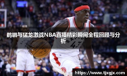 鹈鹕与猛龙激战NBA直播精彩瞬间全程回顾与分析